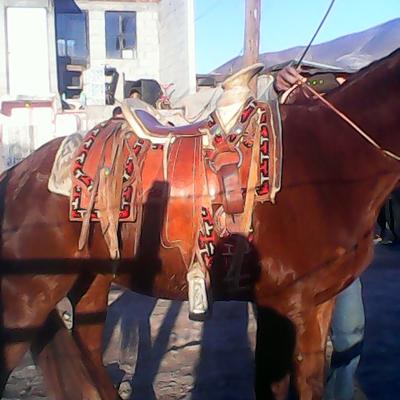 Profile Picture of Julio Delgado Bernal (@Juliobernal69) on Twitter