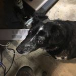 Profile Picture of Tim Schaeffer (@tim.schaeffer.73) on Instagram