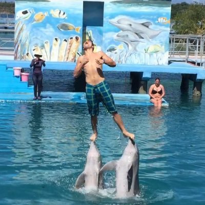 Profile Picture of Andrew Ricard (@ricard_andrew) on Twitter