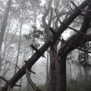 Profile Picture of Mark Yuan (@MarkYuan18) on Twitter