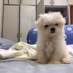 Profile Picture of Jonathan Goh (@jonathangoh1) on Flickr