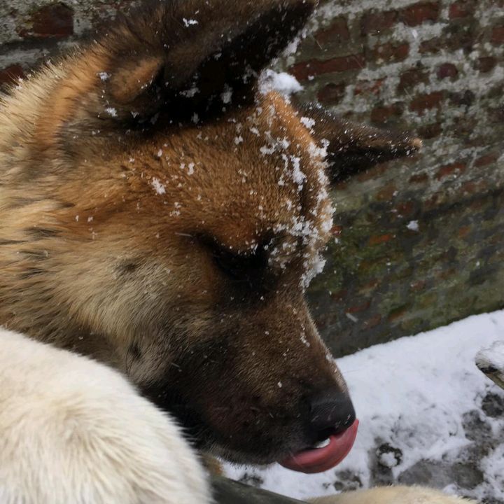 Cathy Pires - Tiktok Profile Picture of Cathy Pires (@cathypires) on Tiktok