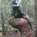 Profile Picture of Dustin Whaley (@dustin.whaley.169) on Facebook