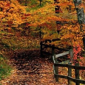 Profile Picture of Marina Špicer (@marrina6) on Myspace