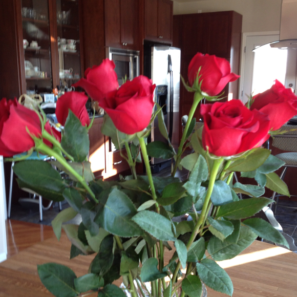 Profile Picture of Debbie Scherck (@somebunny) on Poshmark