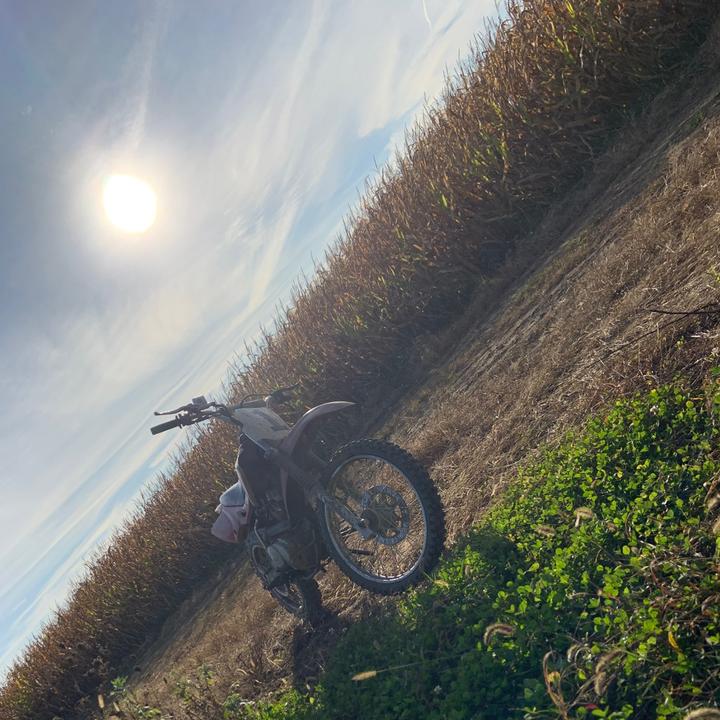 Profile Picture of emerick houle (@emerick.houle6) on Tiktok