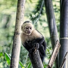 Profile Picture of David Morey (@david.morey.mpa) on Tiktok