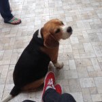 Profile Picture of Lucia Salgado (@luciasalgadom) on Instagram