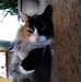 Profile Picture of Margaret Bass (@margaret.bass.12327608) on Facebook