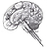 Profile Picture of Jade (@_puyu_) on Flickr