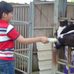 Profile Picture of Chung Shih (@chung.shih.10) on Facebook