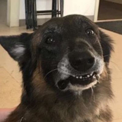 Profile Picture of Slave Revag (@Nancy74273110) on Twitter