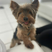 Profile Picture of Genesis Valentin (@genesisvalentin769) on Youtube