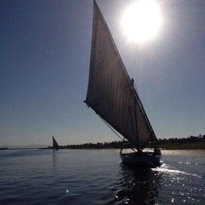 Profile Picture of Joan Case (@joandcase) on Twitter