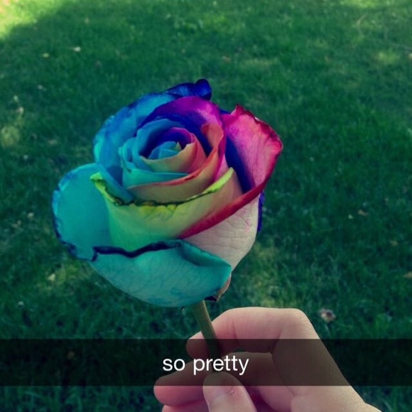 Profile Picture of Hannah Fabisch (@hannah1660) on Poshmark