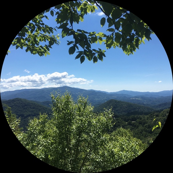 Profile Picture of Clarity Clarity (@clarity25) on Poshmark