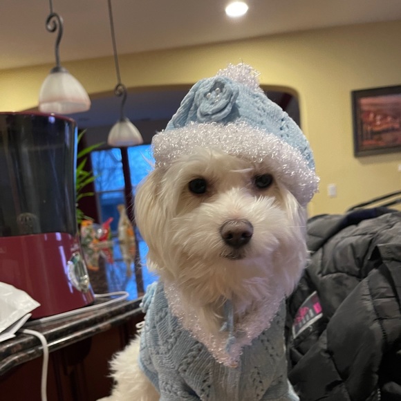 Profile Picture of Valerie Huynh (@68myposkmark9) on Poshmark