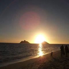Profile Picture of Margaret Read (@@margaretread) on Tiktok