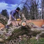 Profile Picture of Cody Mayer (@mayer_cody) on Instagram