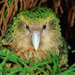 Profile Picture of Frederick Field (@frederick.field.522) on Facebook