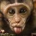Profile Picture of Alex Travers (@alext_2000) on Pinterest