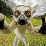 Profile Picture of Harold Savoye (@haroldsavoye) on Instagram