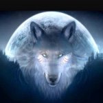 Profile Picture of Alex Klinker (@wildwolf3838) on Instagram
