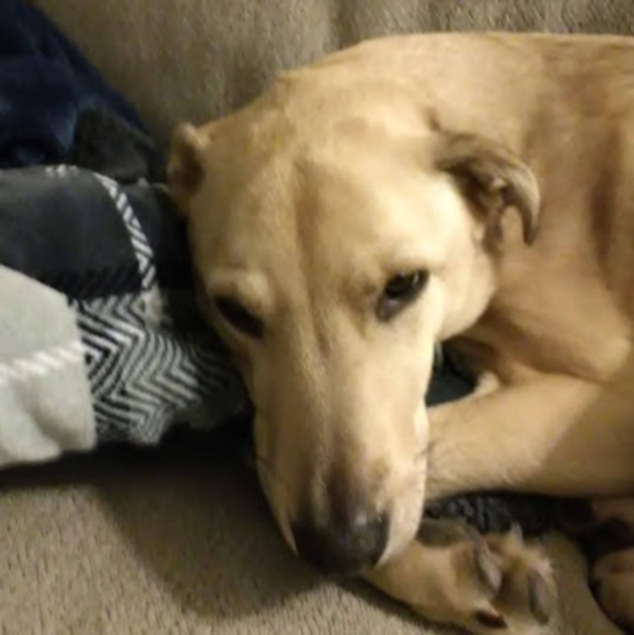 Profile Picture of Leo Mcclure (@leomcclure68) on Poshmark