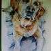 Profile Picture of Helene Wright (@helene5349) on Pinterest
