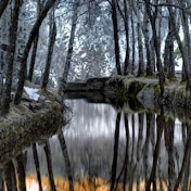 Profile Picture of Matthew Roberge (@C0lossians316) on Youtube