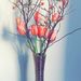 Profile Picture of Julia Wildermuth (@juliwildi) on Pinterest