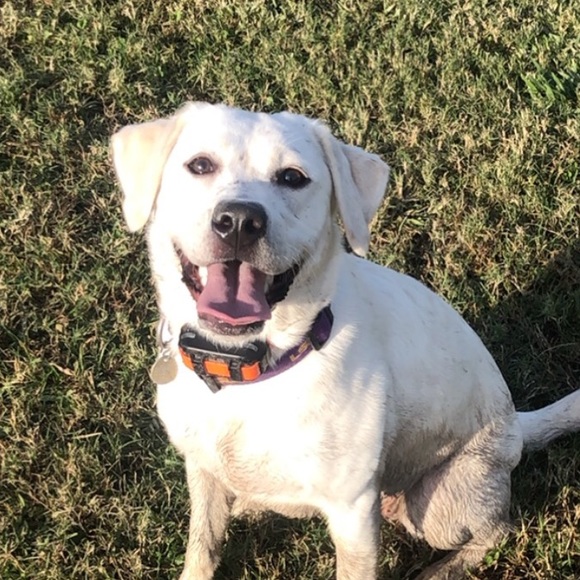 Profile Picture of Elizabeth Passini (@epassini) on Poshmark