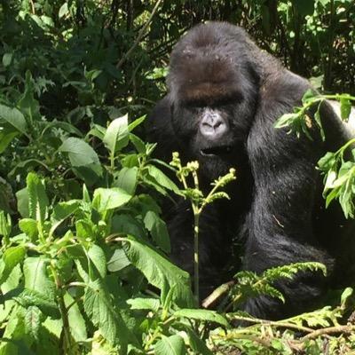 Profile Picture of Mike Wigal (@mike247worldwid) on Twitter