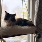 Profile Picture of Alex Essig (@alex.essig.7) on Facebook