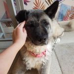 Profile Picture of Sharon Lowe (@sharonlowe6758) on Instagram