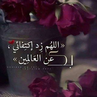 Profile Picture of Mohsen Khalaf (@mohsen.khalaf.146) on Facebook