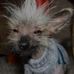 Profile Picture of Tony Fischer (@tony.fischer.908) on Facebook