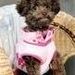 Profile Picture of Debra Marks (@debmarks2001) on Pinterest