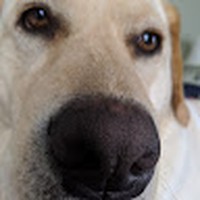 Profile Picture of Nolan Marshall (@nolan-marshall-20) on Quora