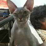 Profile Picture of Spud Beardwell (@spud.beardwell) on Facebook