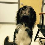 Profile Picture of John Chester (@jchester404) on Instagram