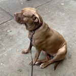 Profile Picture of Lois (@loispewterschmidt) on Instagram