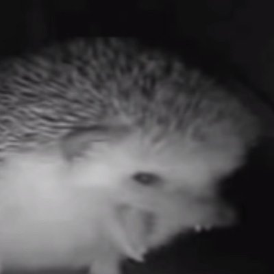 Profile Picture of Sir Charles Jessie Huettenrauch (@JesseFrancisCh) on Twitter