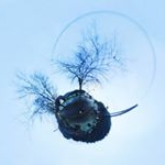 Profile Picture of Simon Lund (@xorogonsthei) on Instagram