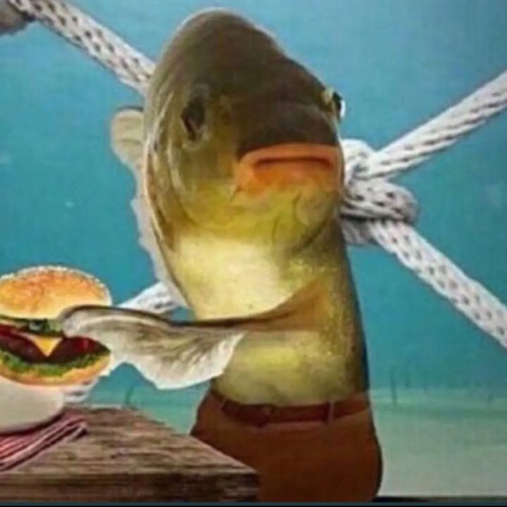 Profile Picture of TONY STATOVCI (@tonystatovci) on Tiktok