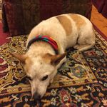 Profile Picture of Baron_Eddie (@baron_eddie) on Instagram