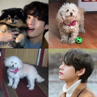 Profile Picture of Iris Cárdenas Uribe (@IrisCardenas_U) on Twitter