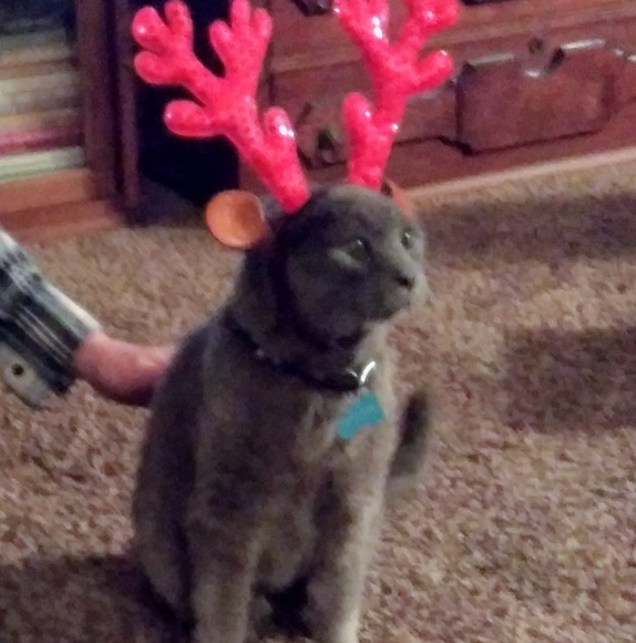 Eryca Derheimer - Poshmark Profile Picture of Eryca Derheimer (@erycamd) on Poshmark