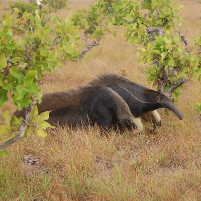 Profile Picture of Brian Waldrop (@Mighty211) on Twitter