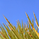 Profile Picture of Matthew McCawley (@Te0) on Flickr